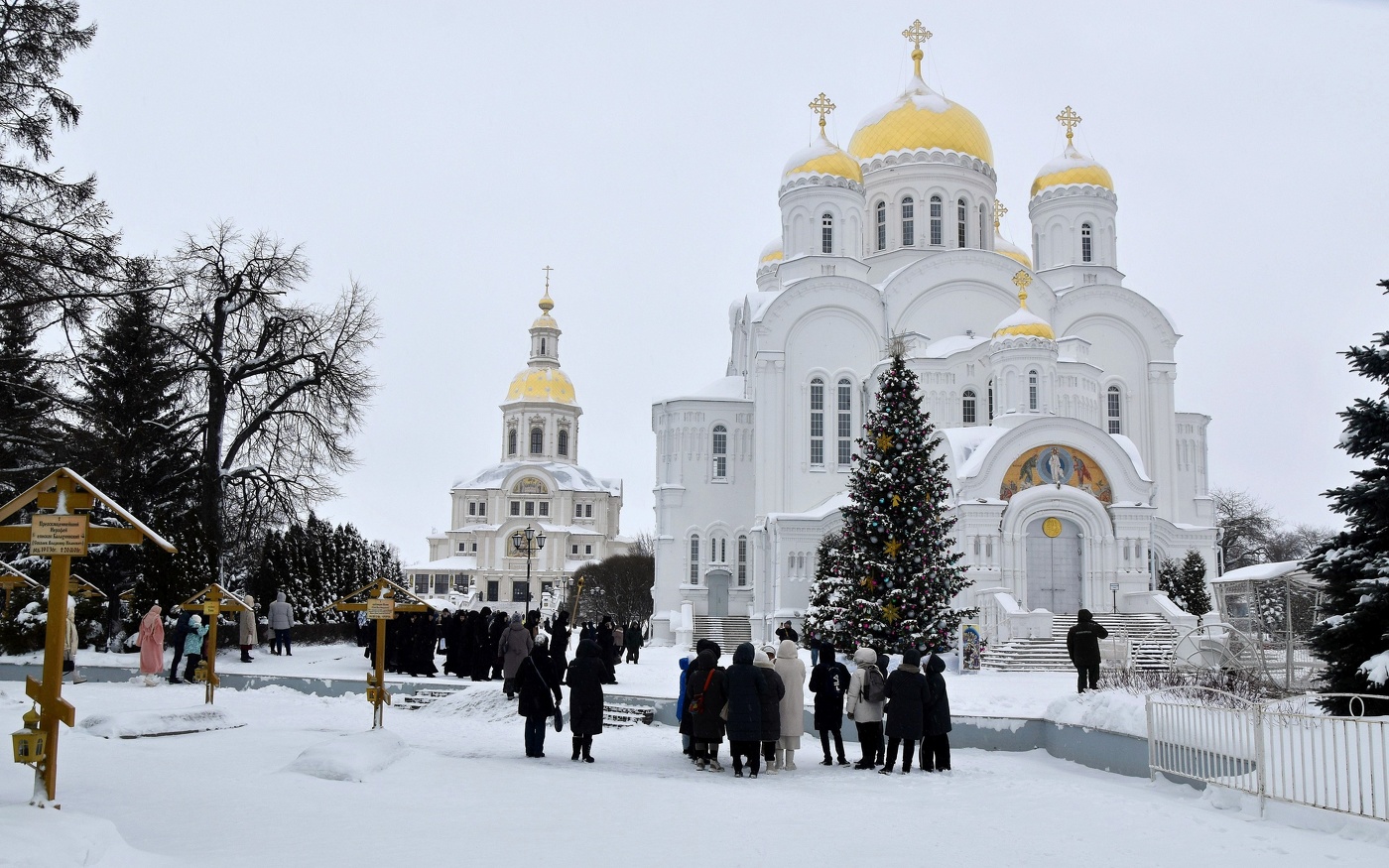 На Рождество - в Дивеево