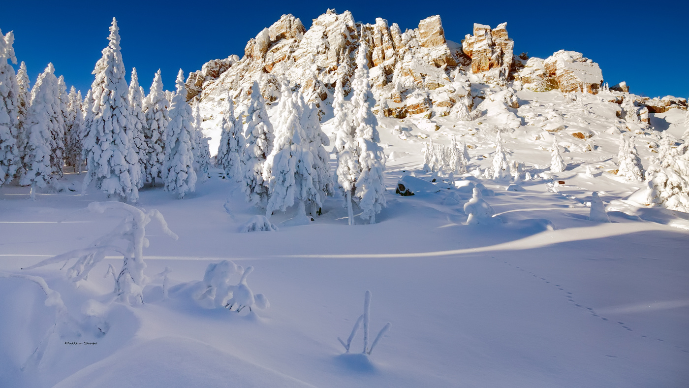 Откликной гребень
