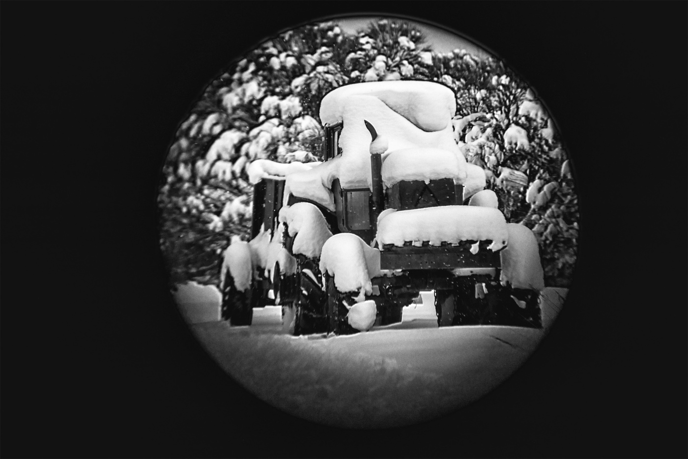 Жизнь вокруг