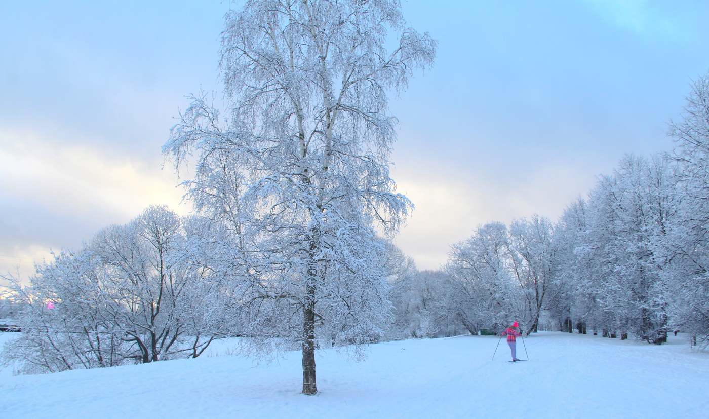 Зимний пейзаж