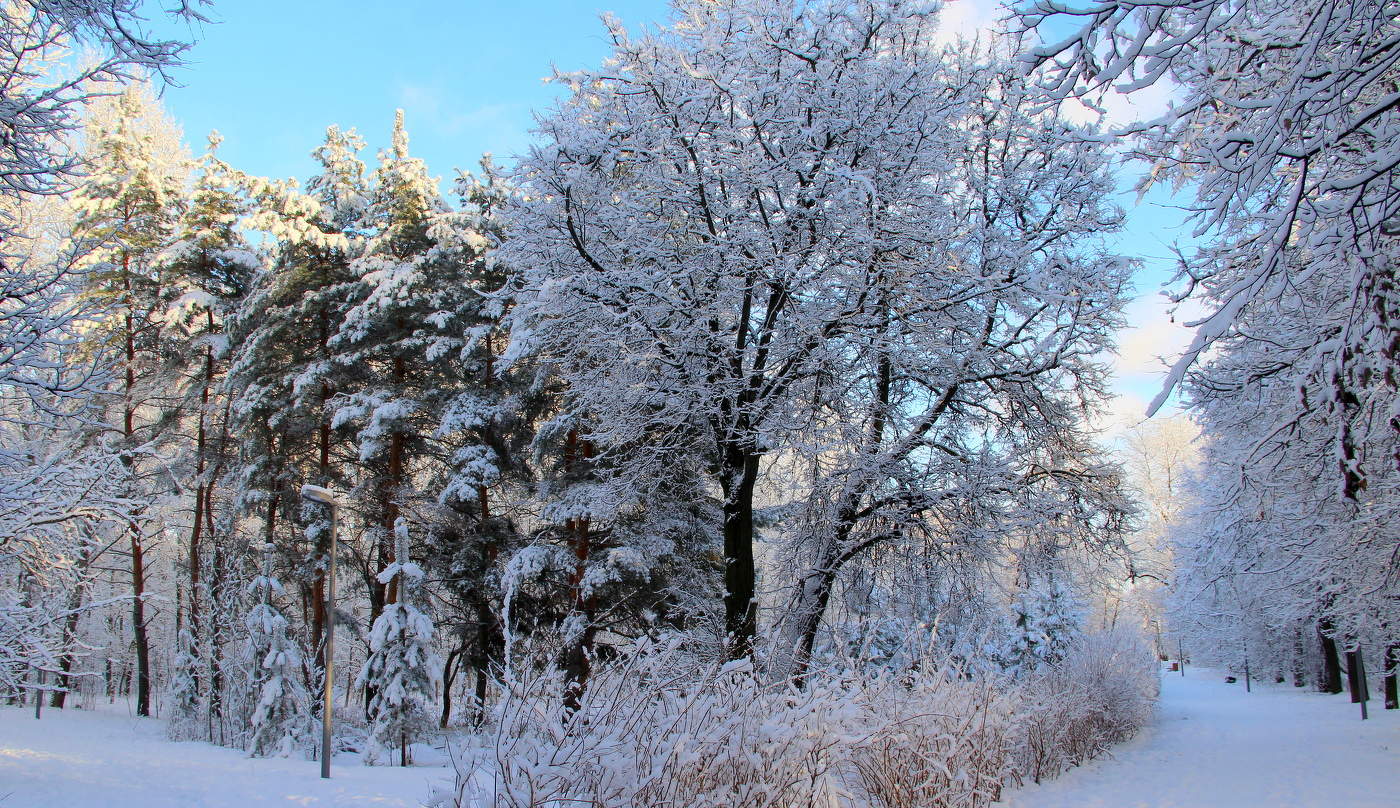 Зимним днем