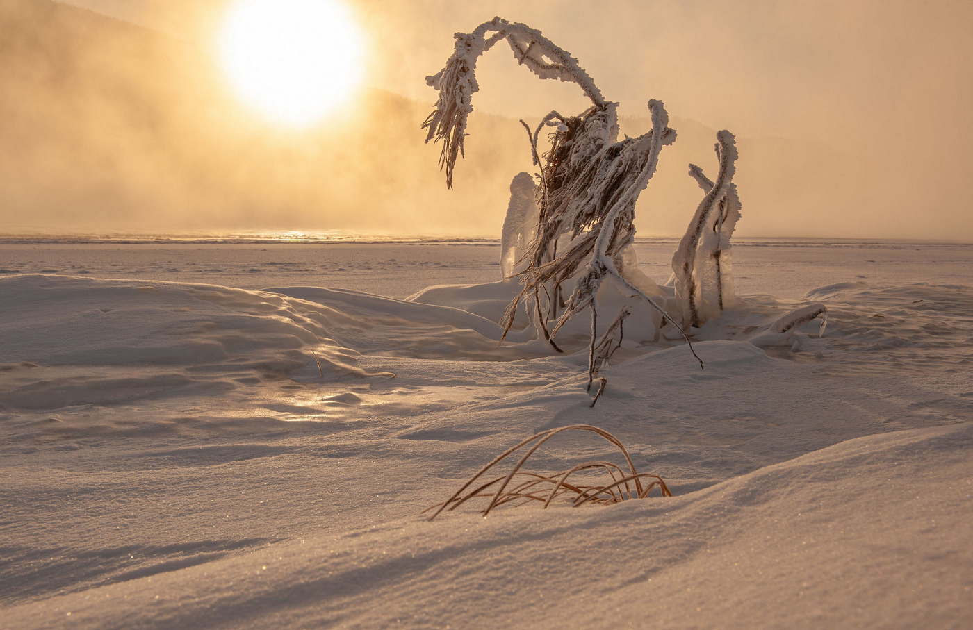 Зимние фантазии