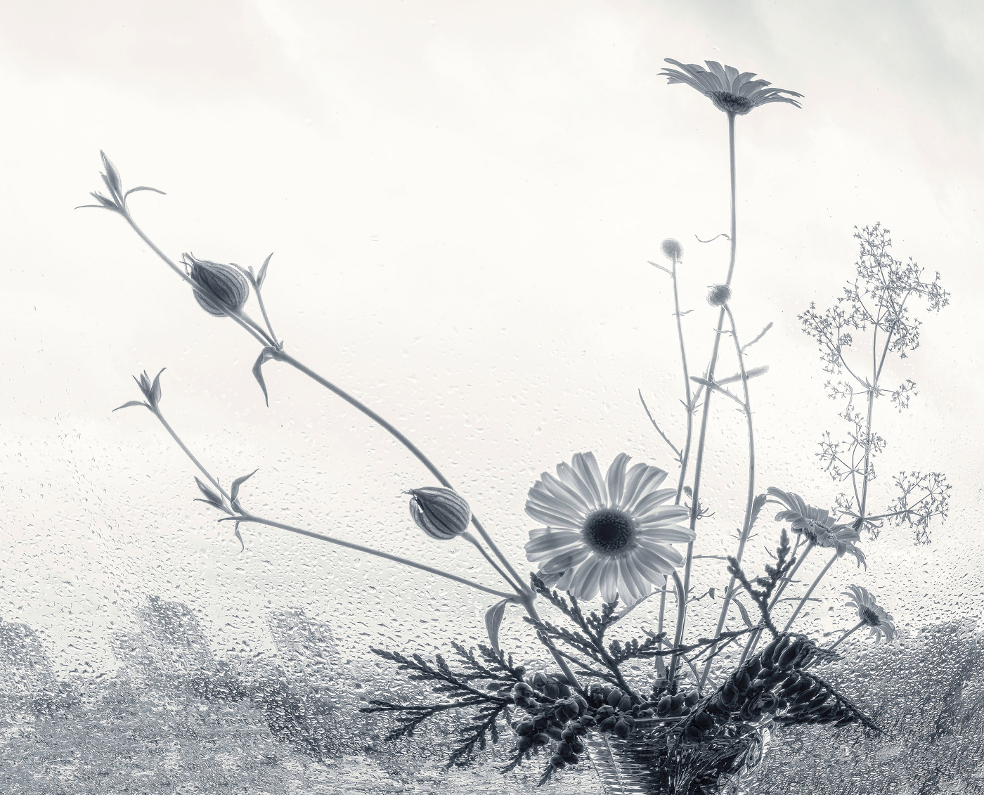 На подоконнике.