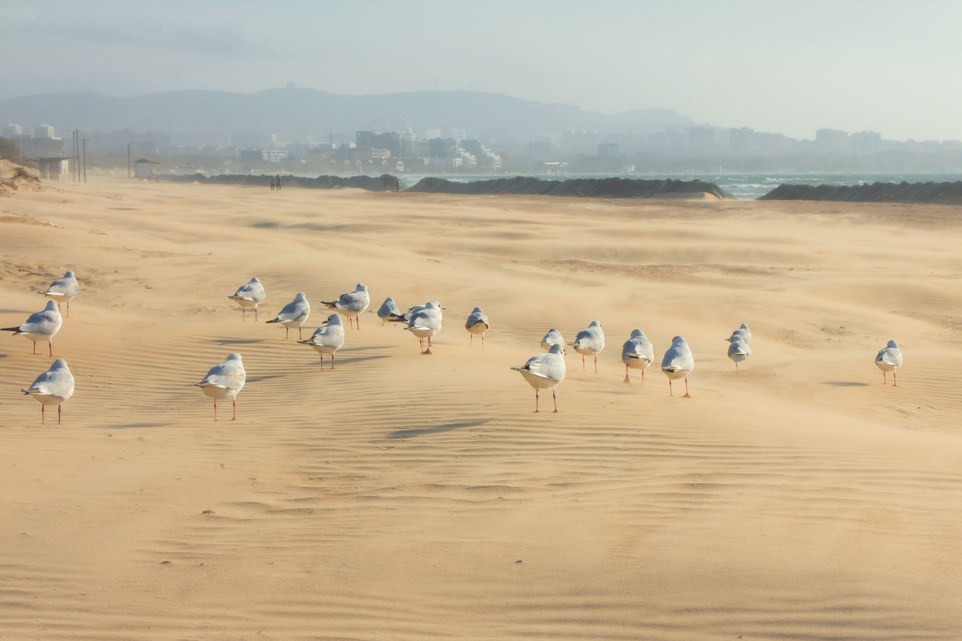 А птицы как люди