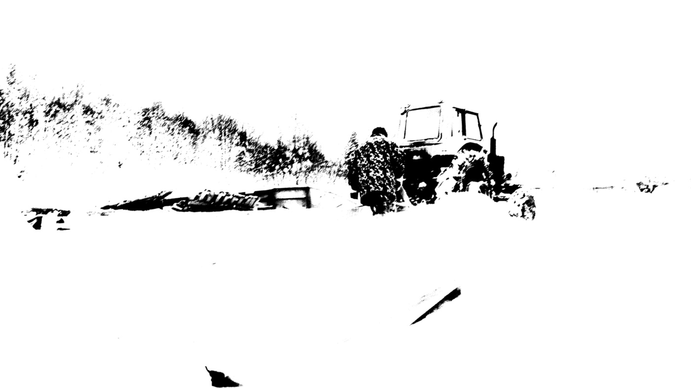 Жизнь вокруг