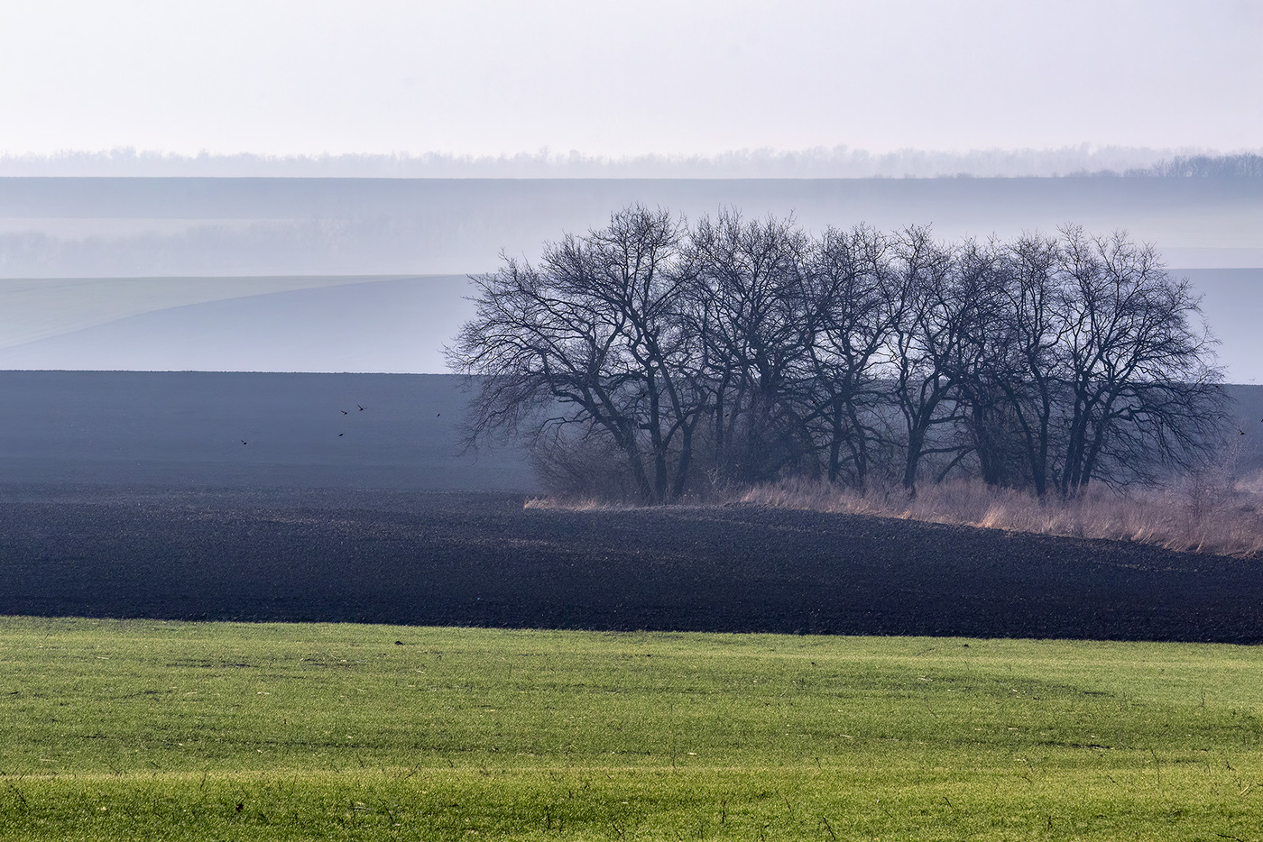 Земля парит
