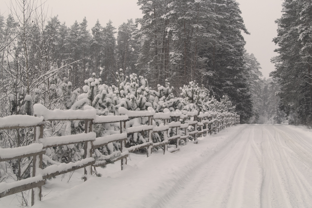 Дорогами родины