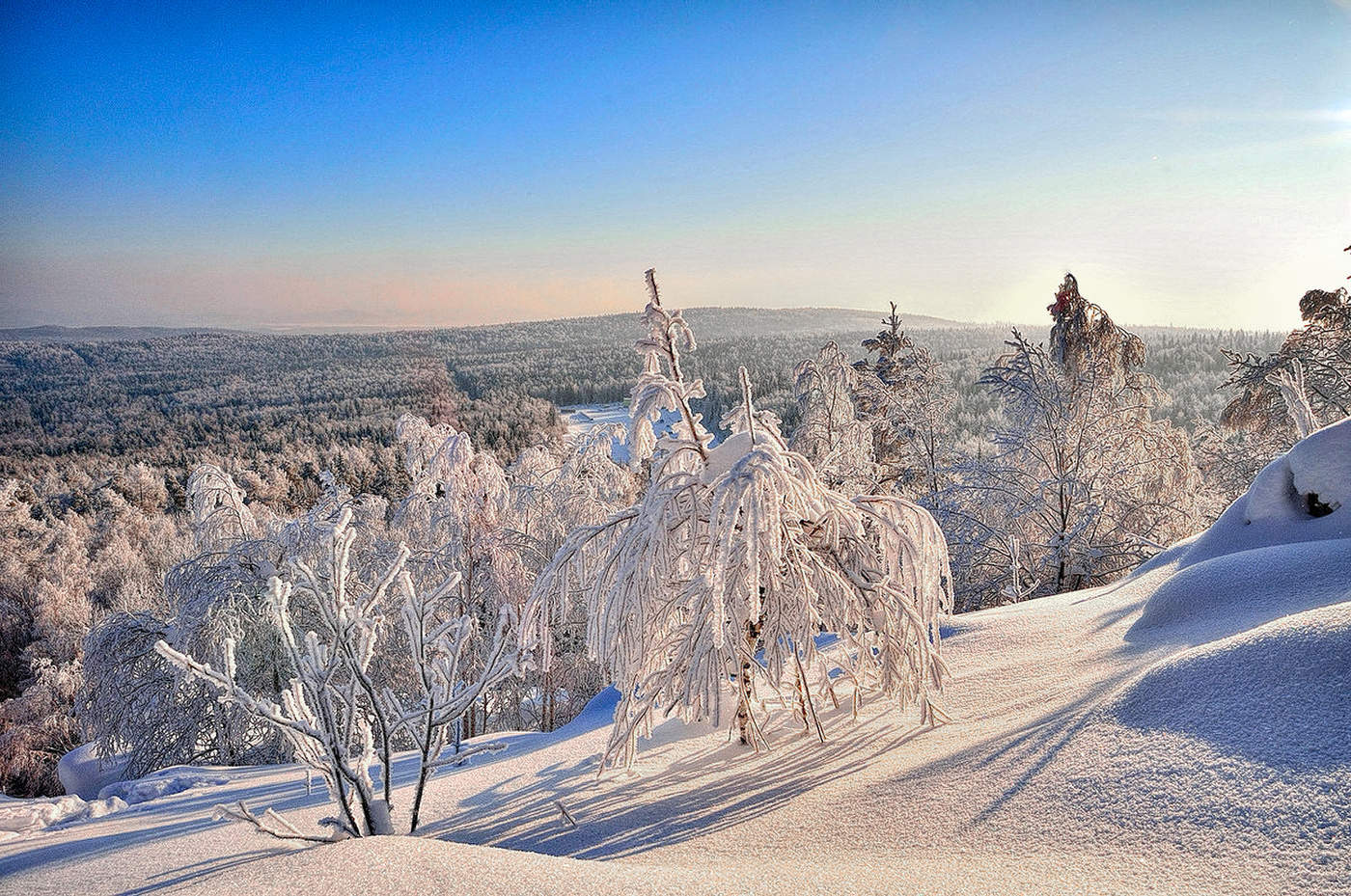 Мороз и солнце
