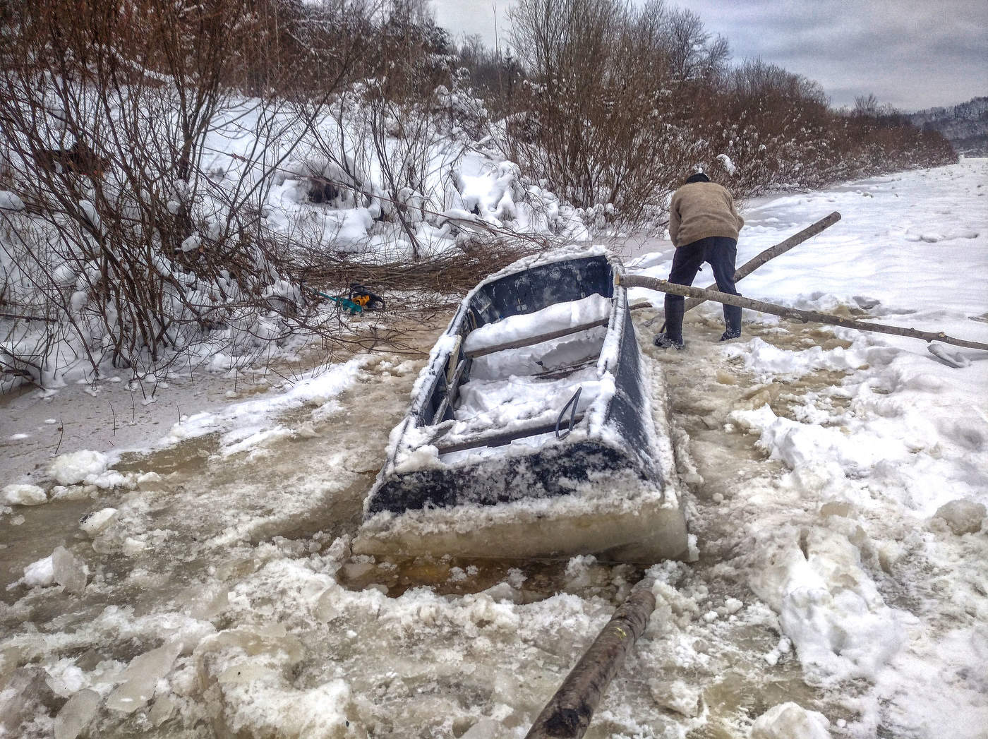 Жизнь вокруг