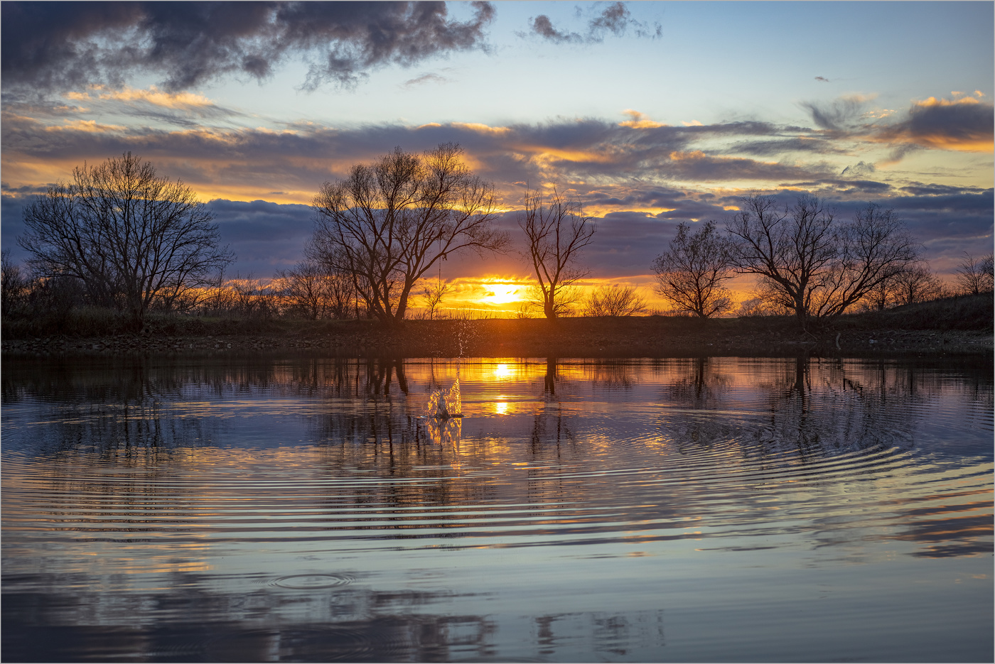 Вечерняя зорька