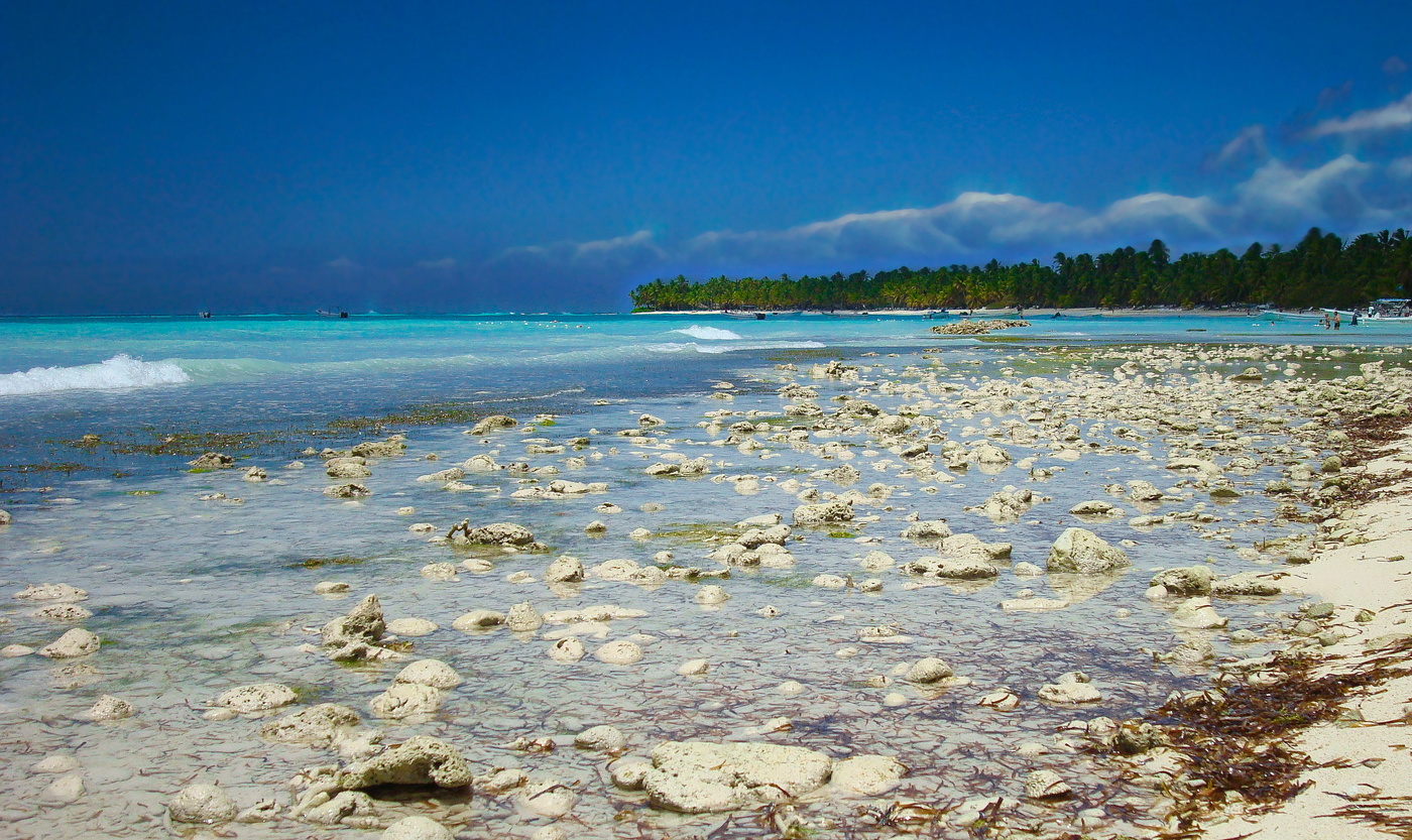 Утренняя прогулка к морю