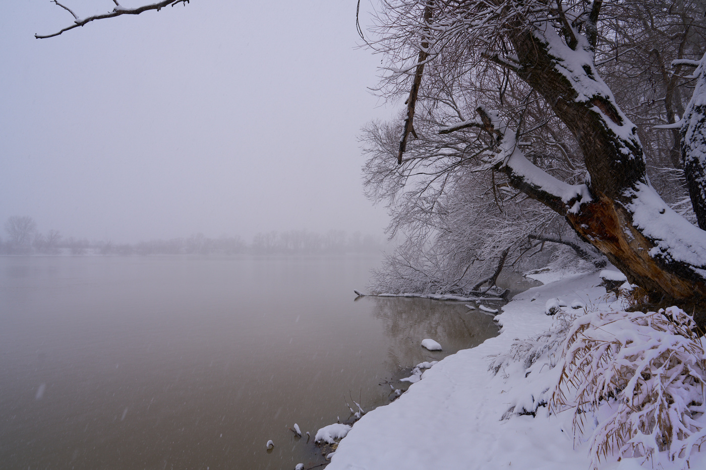 а снег кружил и падал