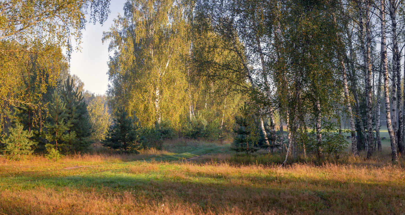 Купаясь в утренний лучах