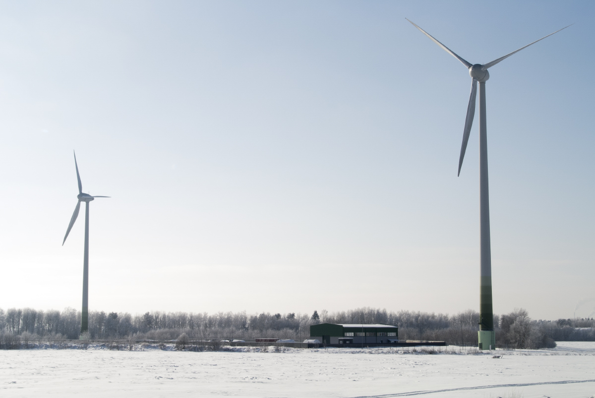 Великаны в полдень