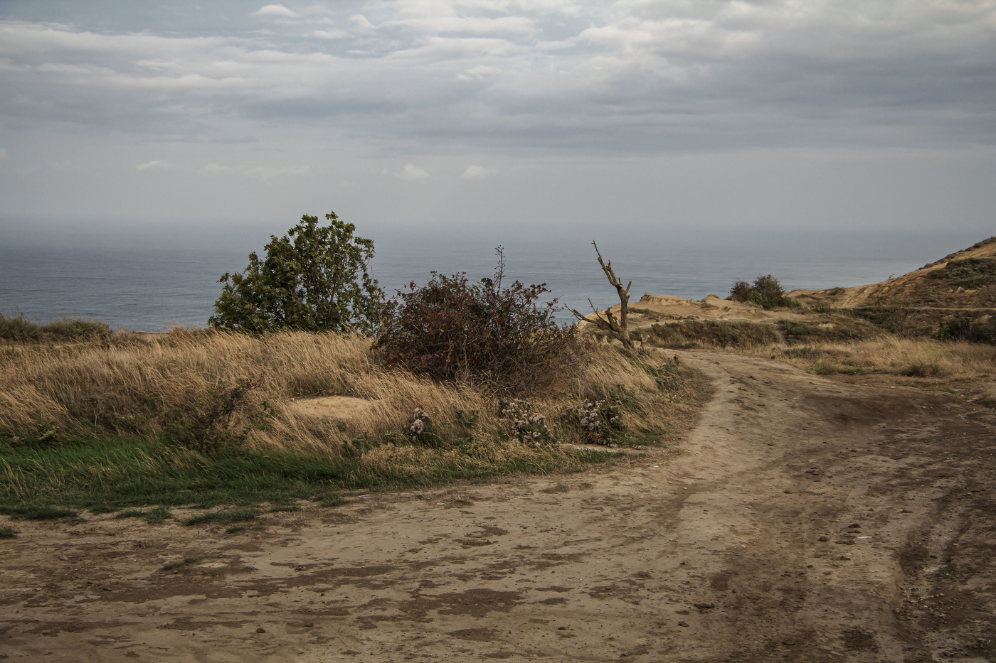 Между Летом и Осенью