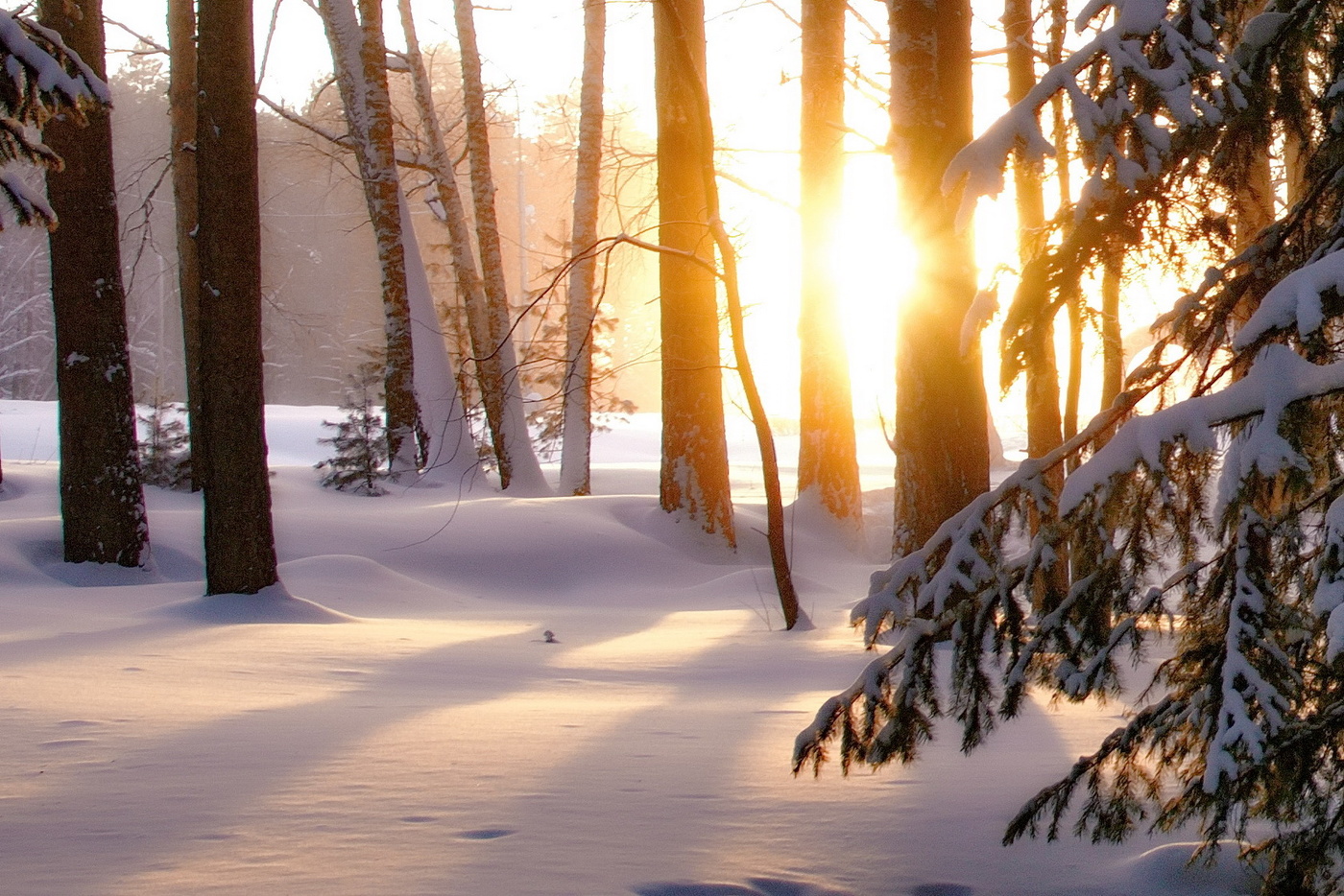 Морозное утро.