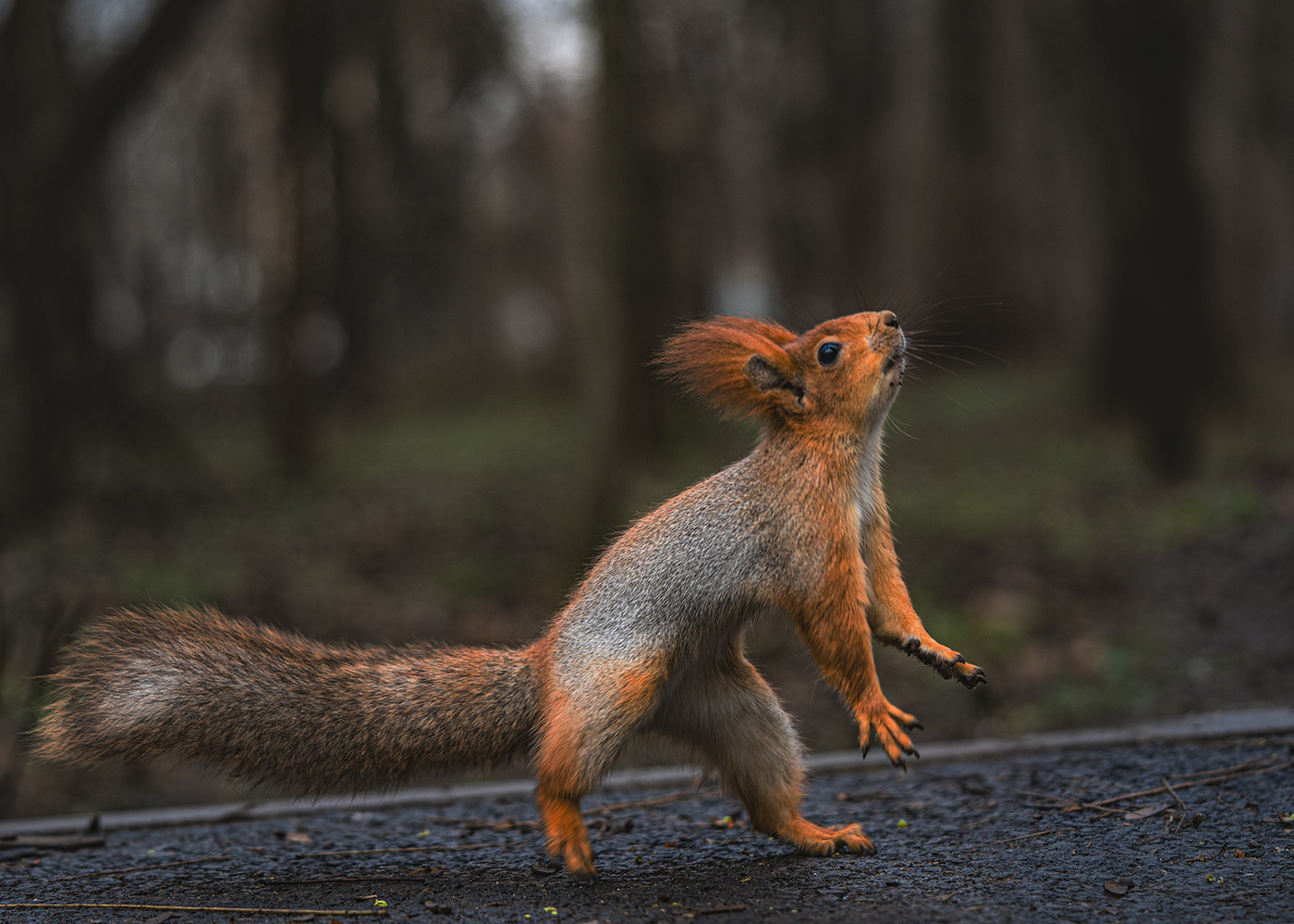 Сейчас я тебя поймаю!
