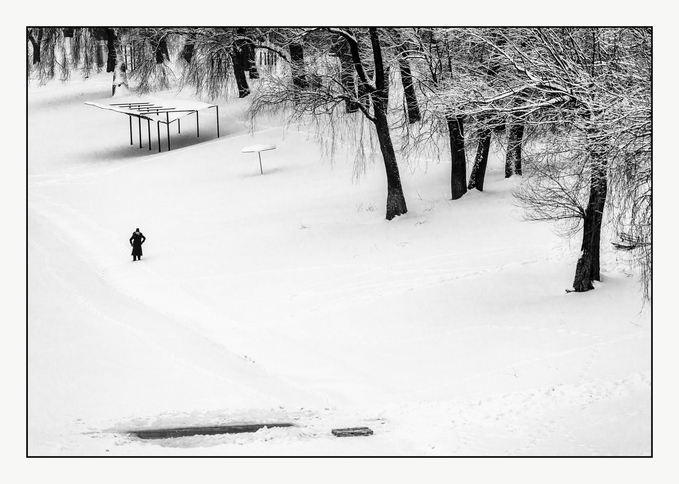 Зимняя вишня