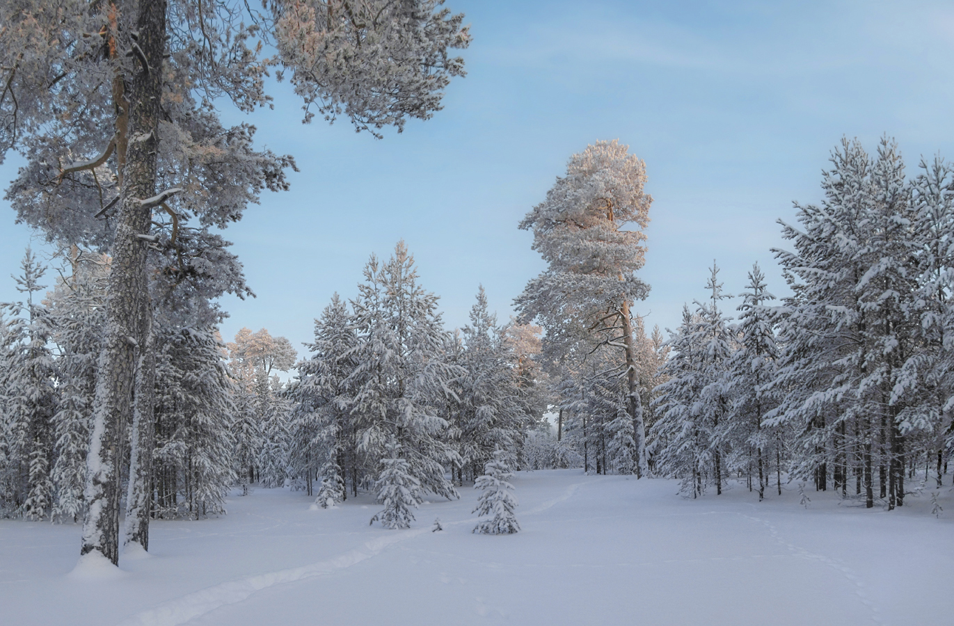 Стежки-дорожки зима перепутала...