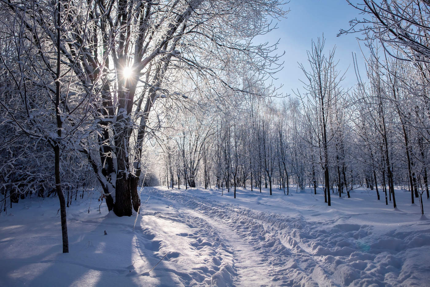 Утро морозное