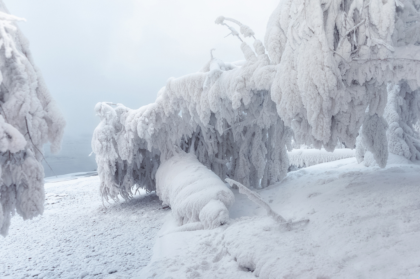 Наморозило