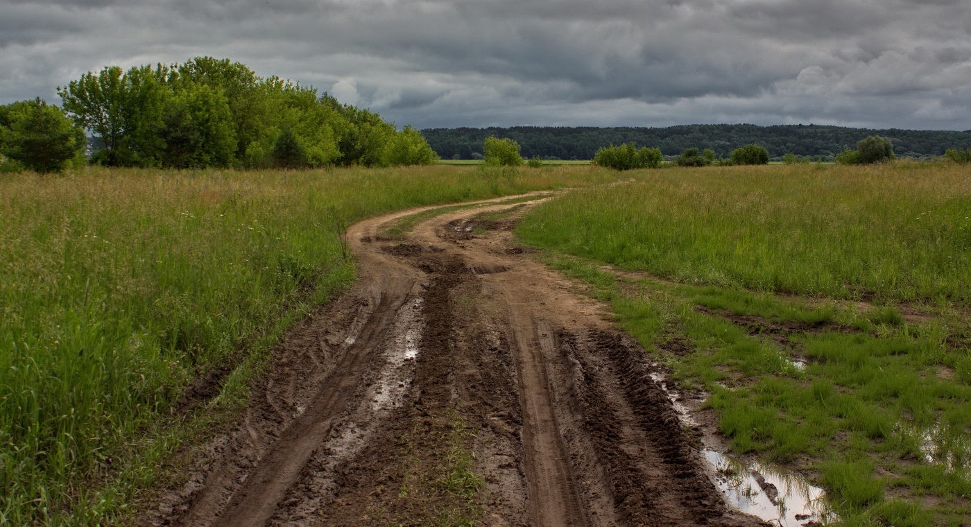 Июньское ненастье
