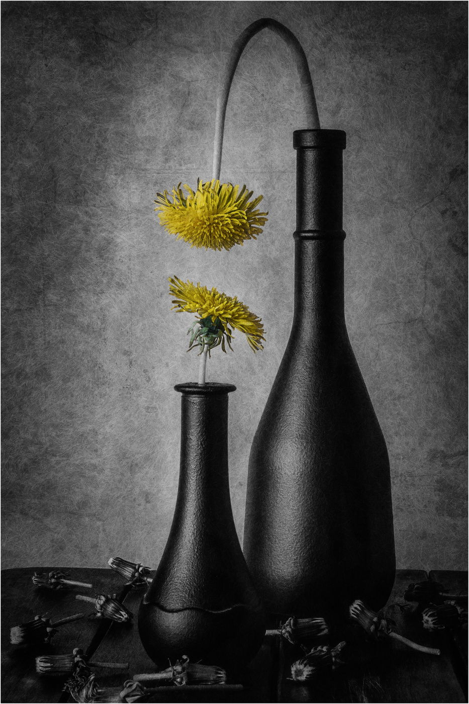 Естественный отбор