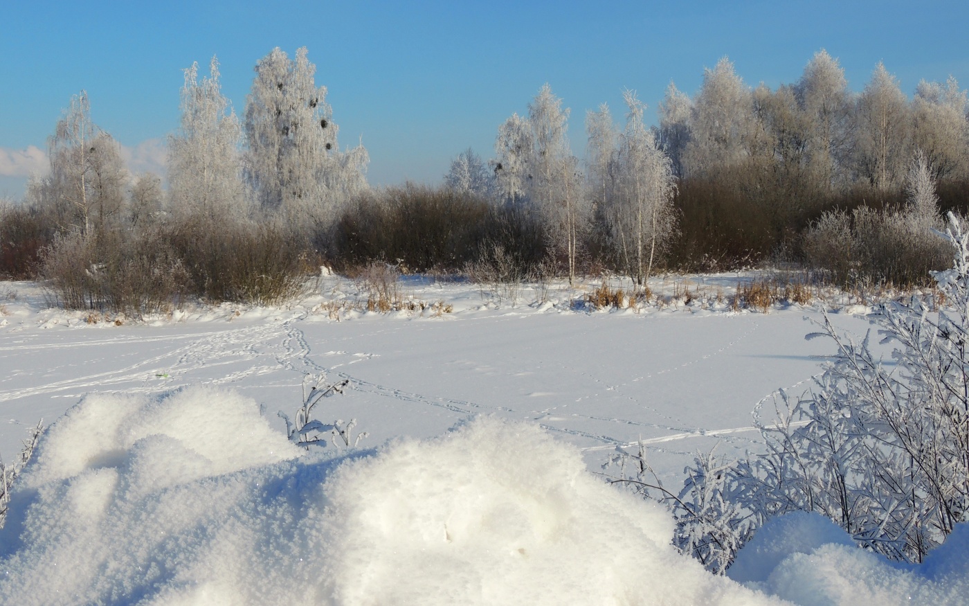 Следы на снегу