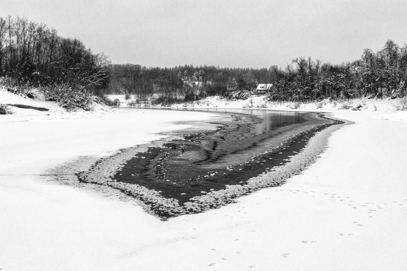 Жизнь вокруг