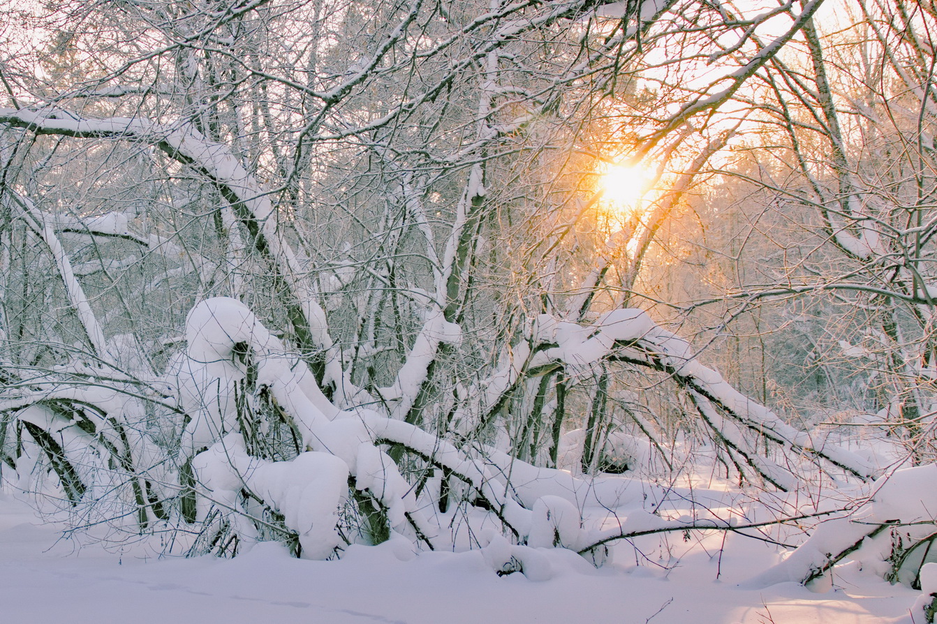 Морозным днём.