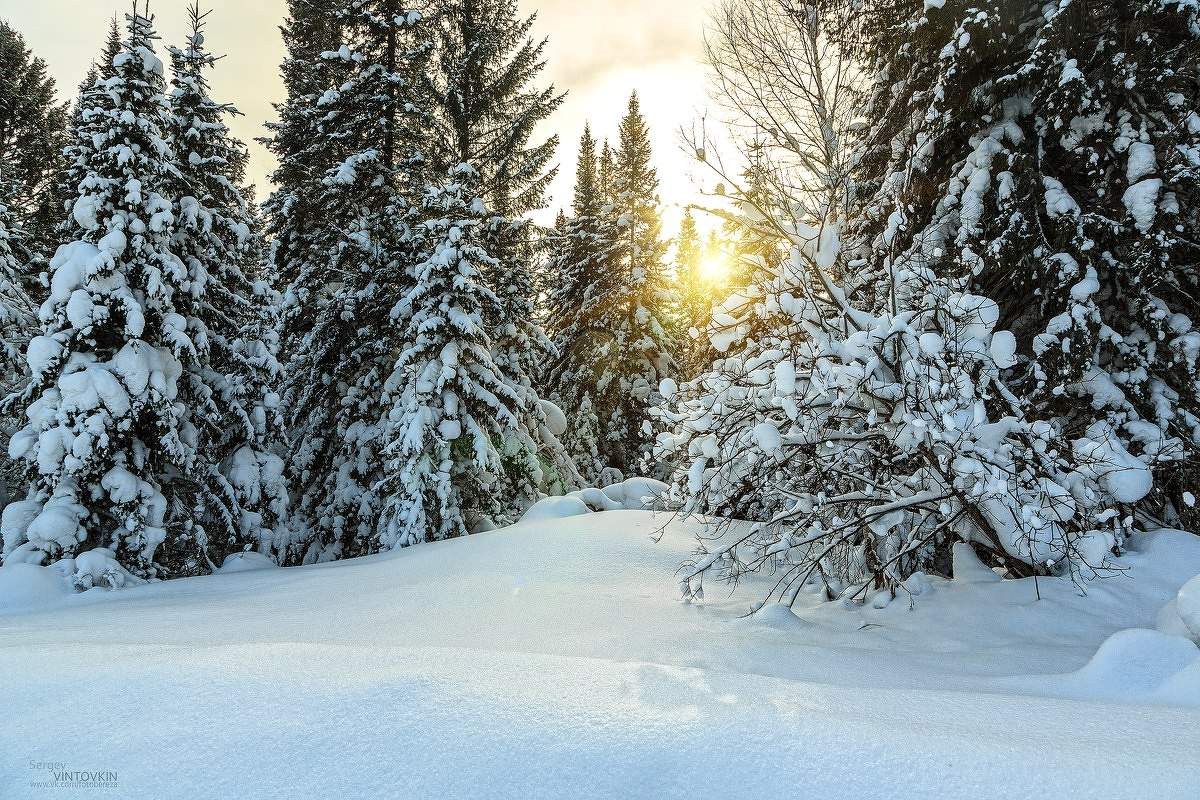 Зимний закат