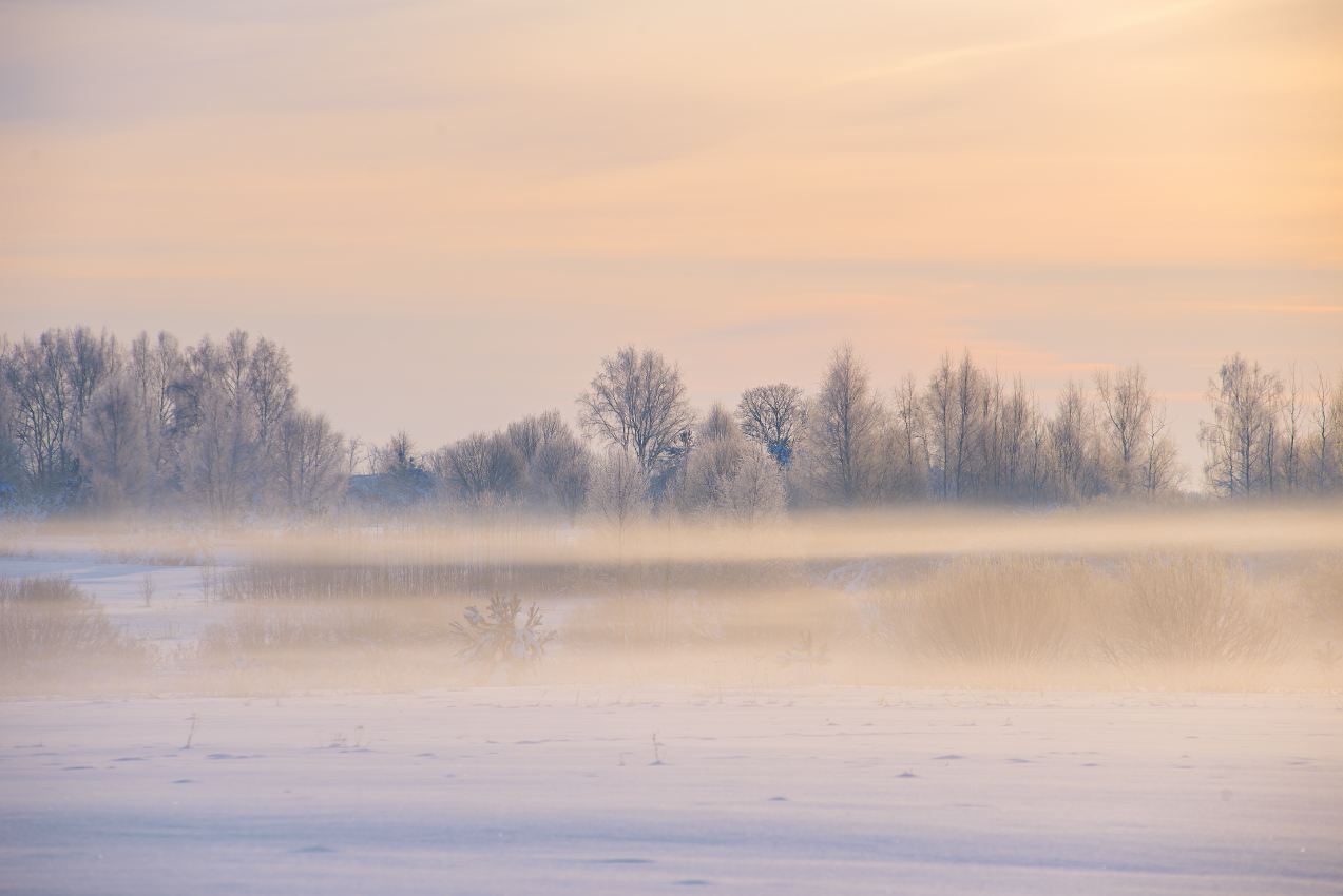 Невесомость