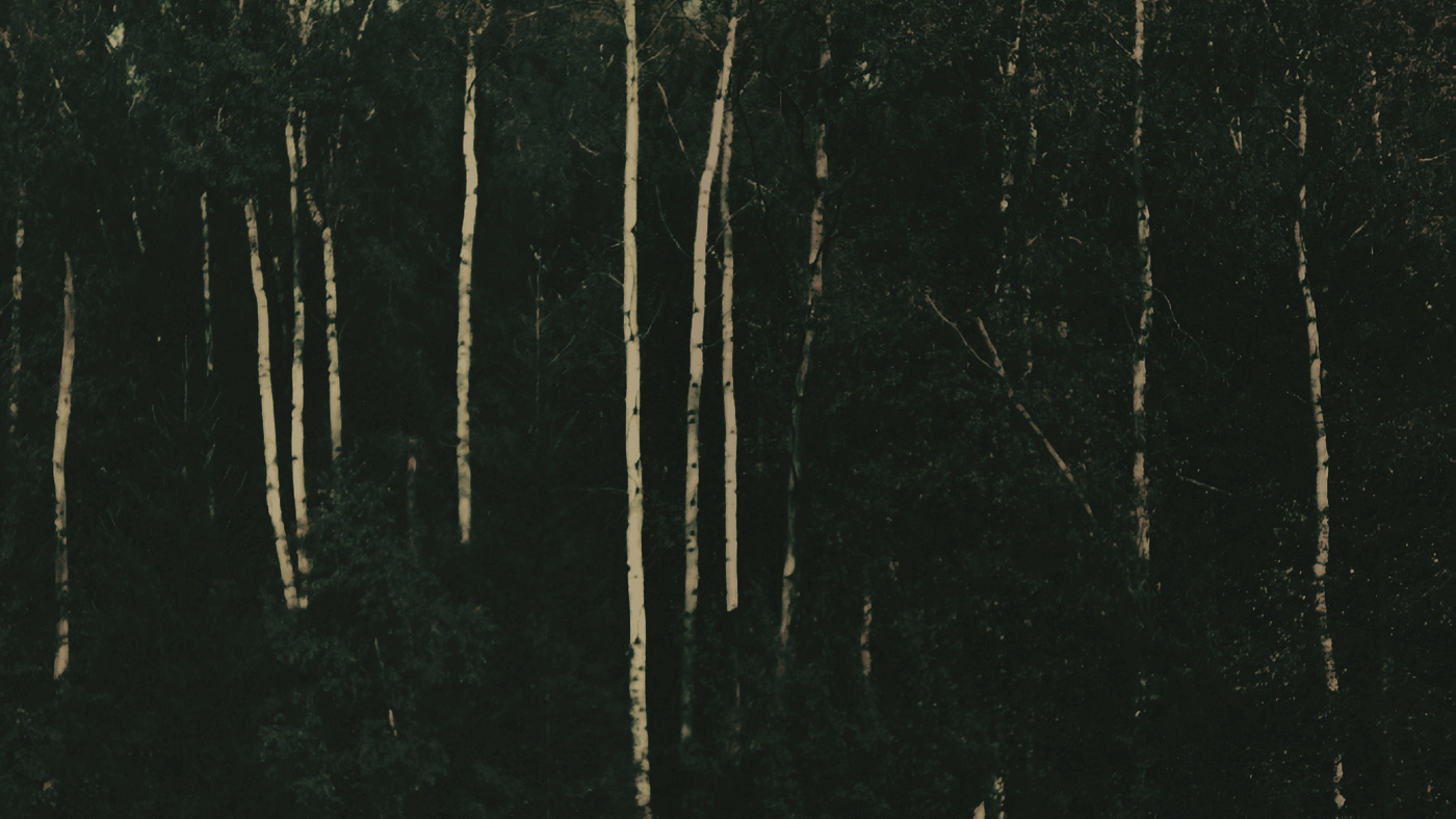 заплутал и заблудился