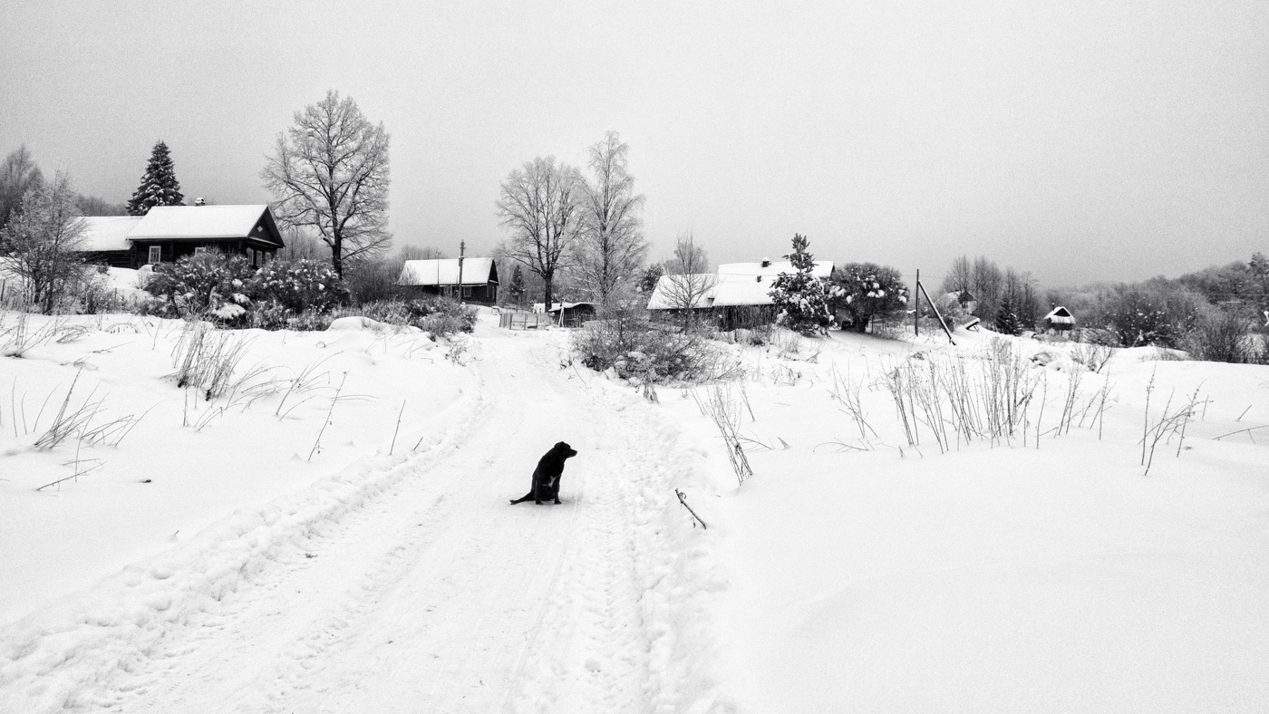 Пейзажизнь