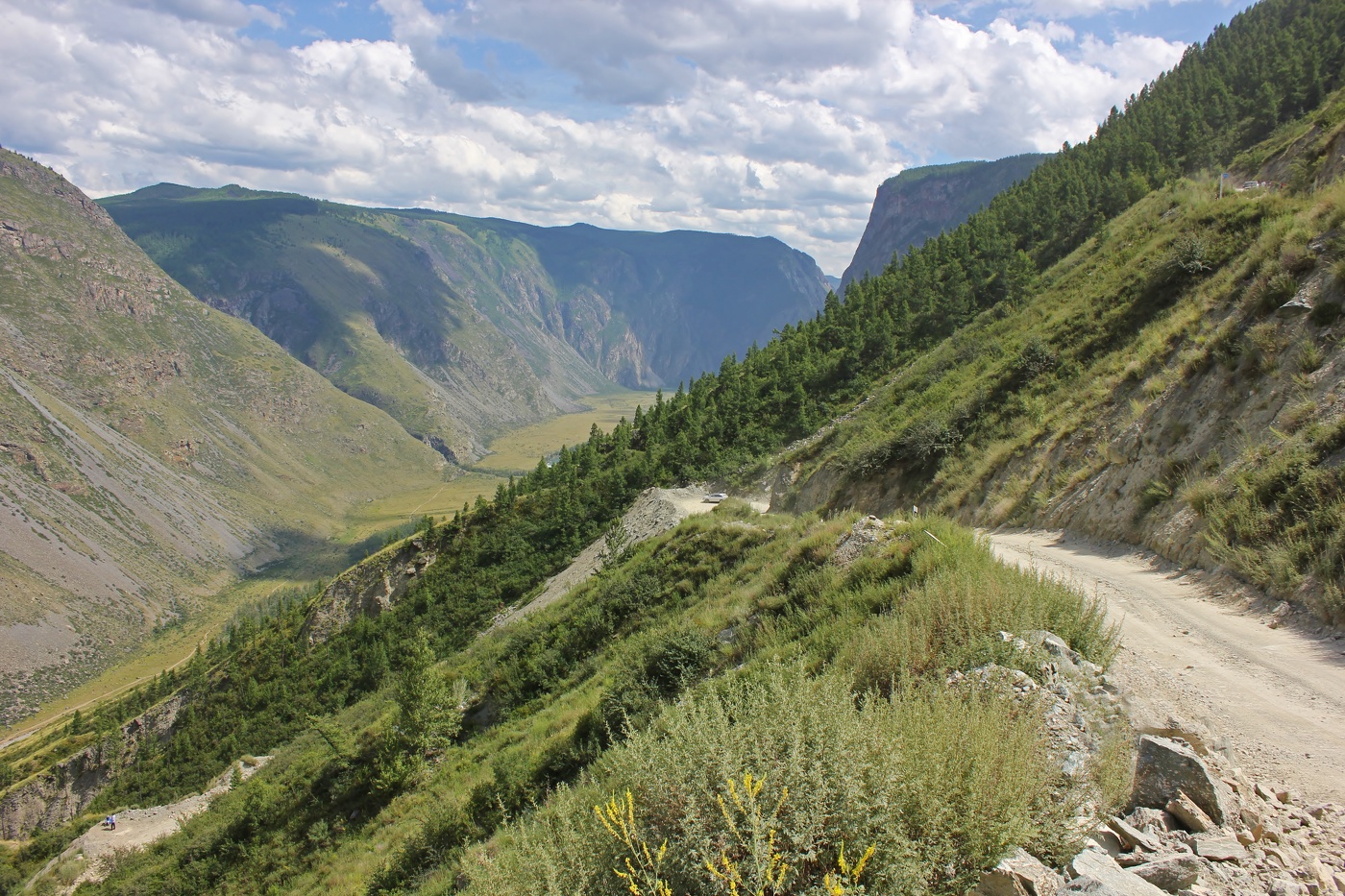 Узкая дорога