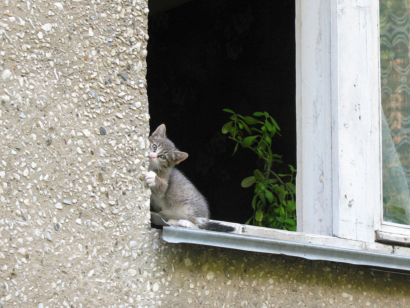 Не пускают на улицу