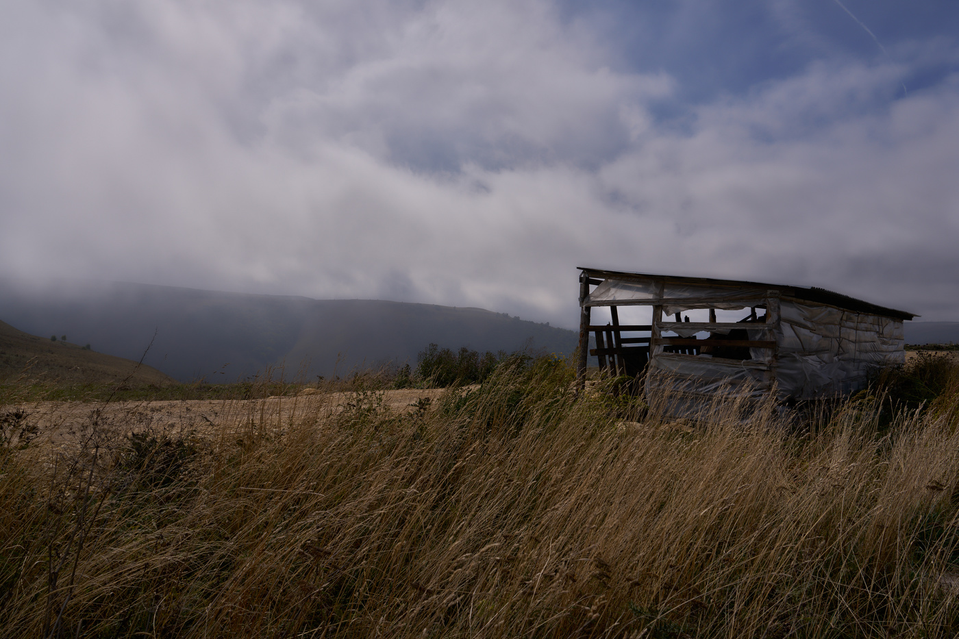 там где вольно дышится