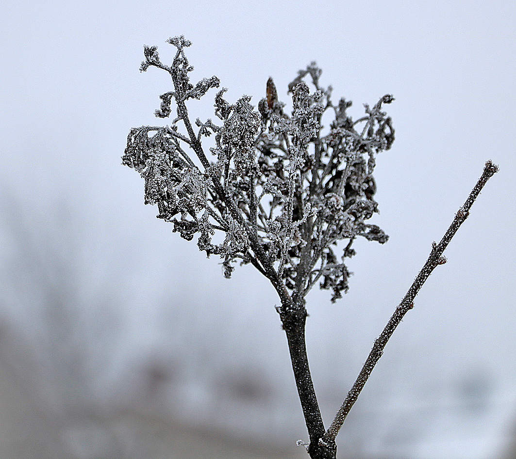 Заиндевелая душа