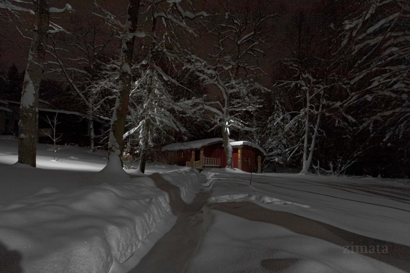 зимняя картинка