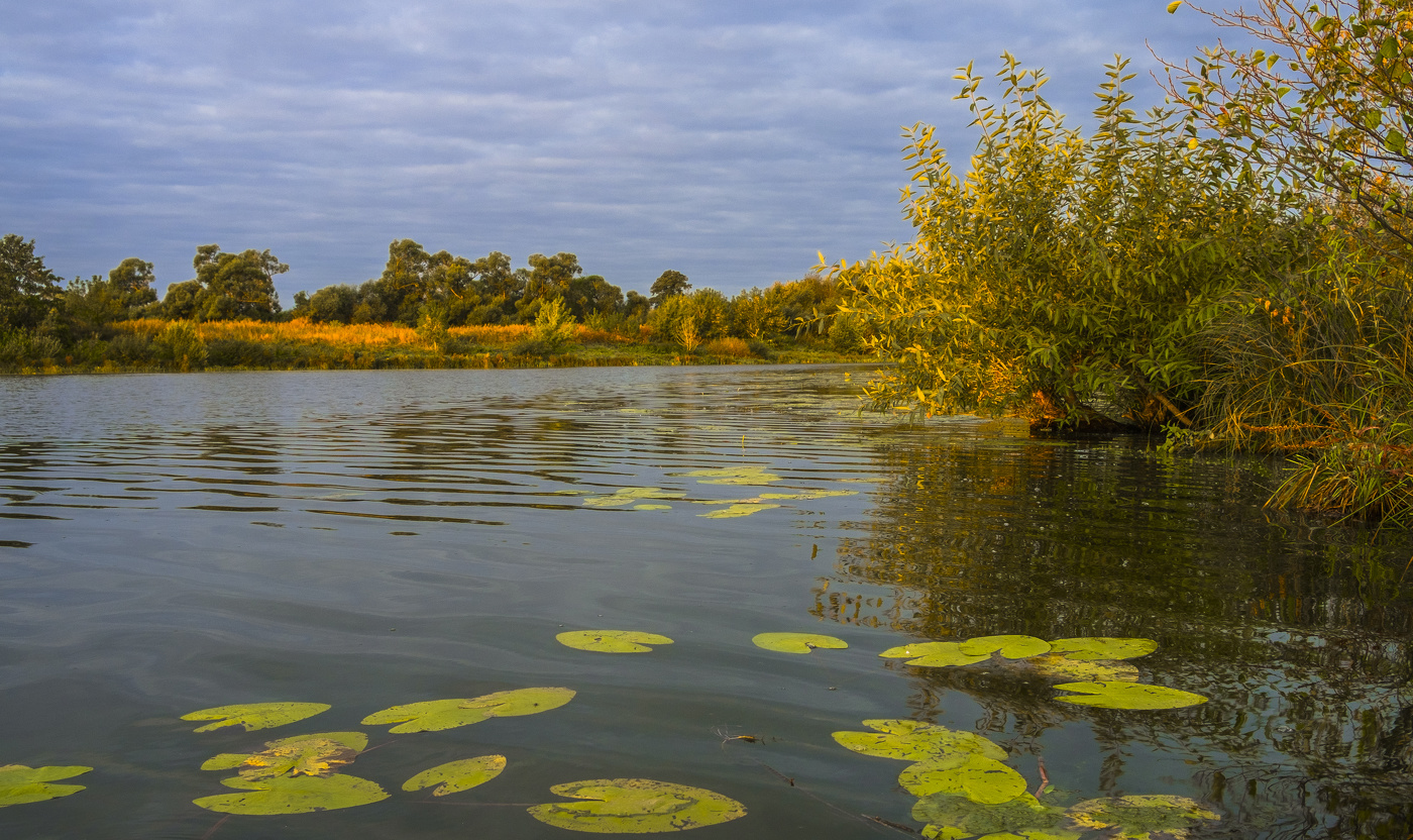 В сентябре.
