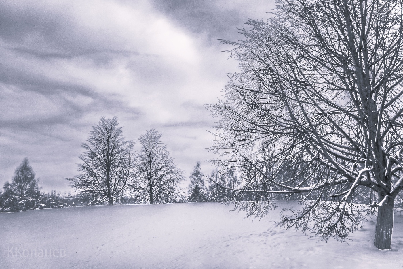 Январским днём