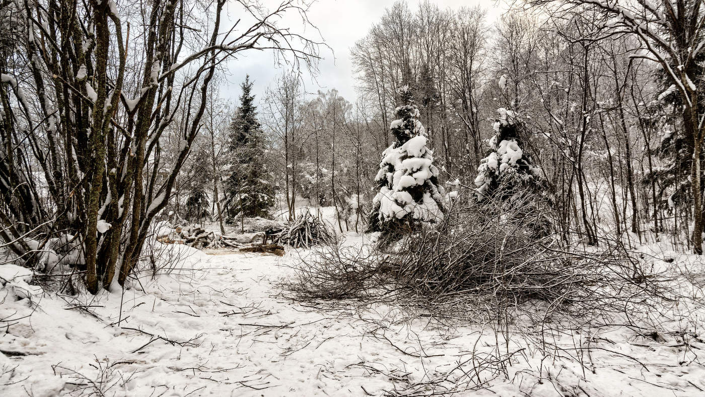 Жизнь вокруг