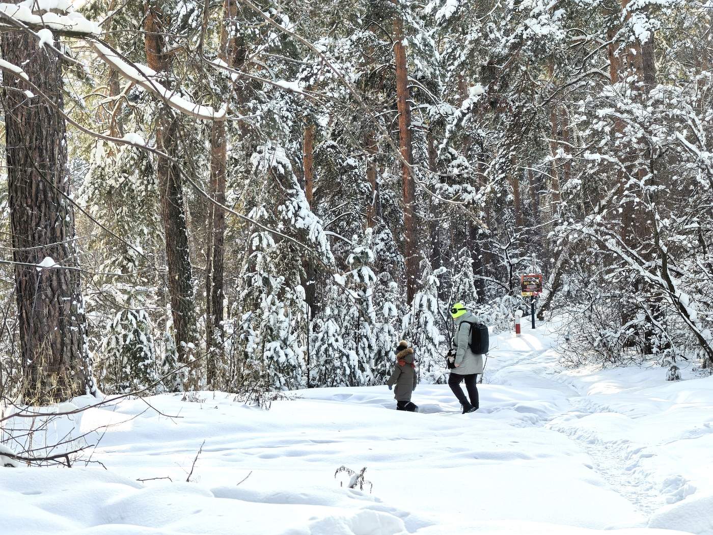 Дорога в школу
