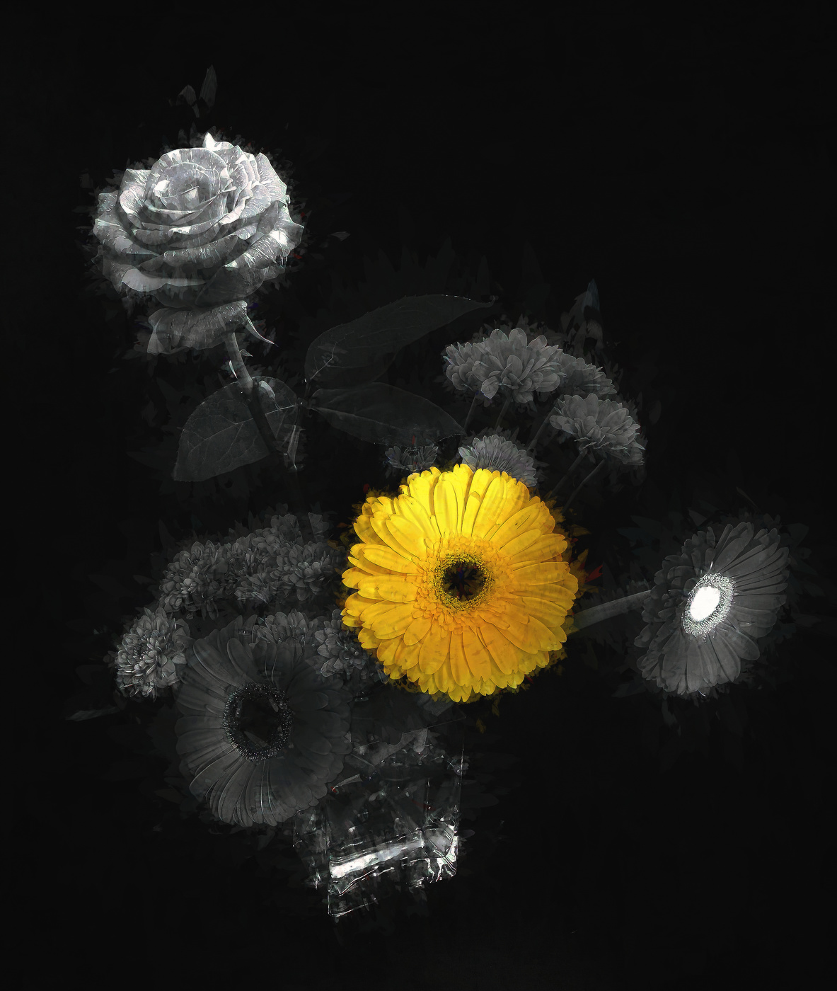 Жёлтая ромашка.