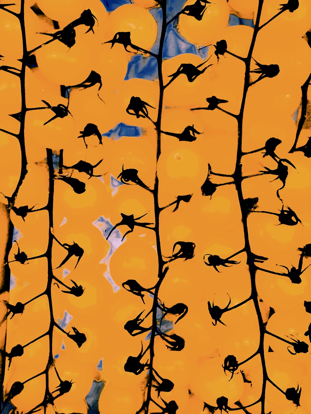 салат из жёлтых помидорок