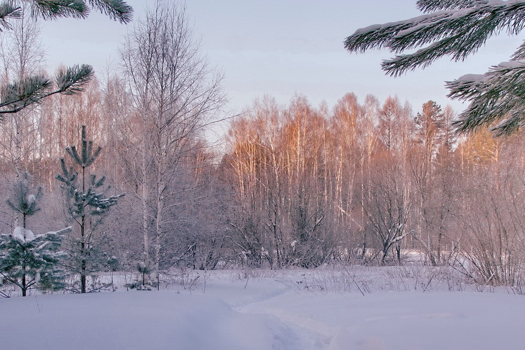 Январским днём.