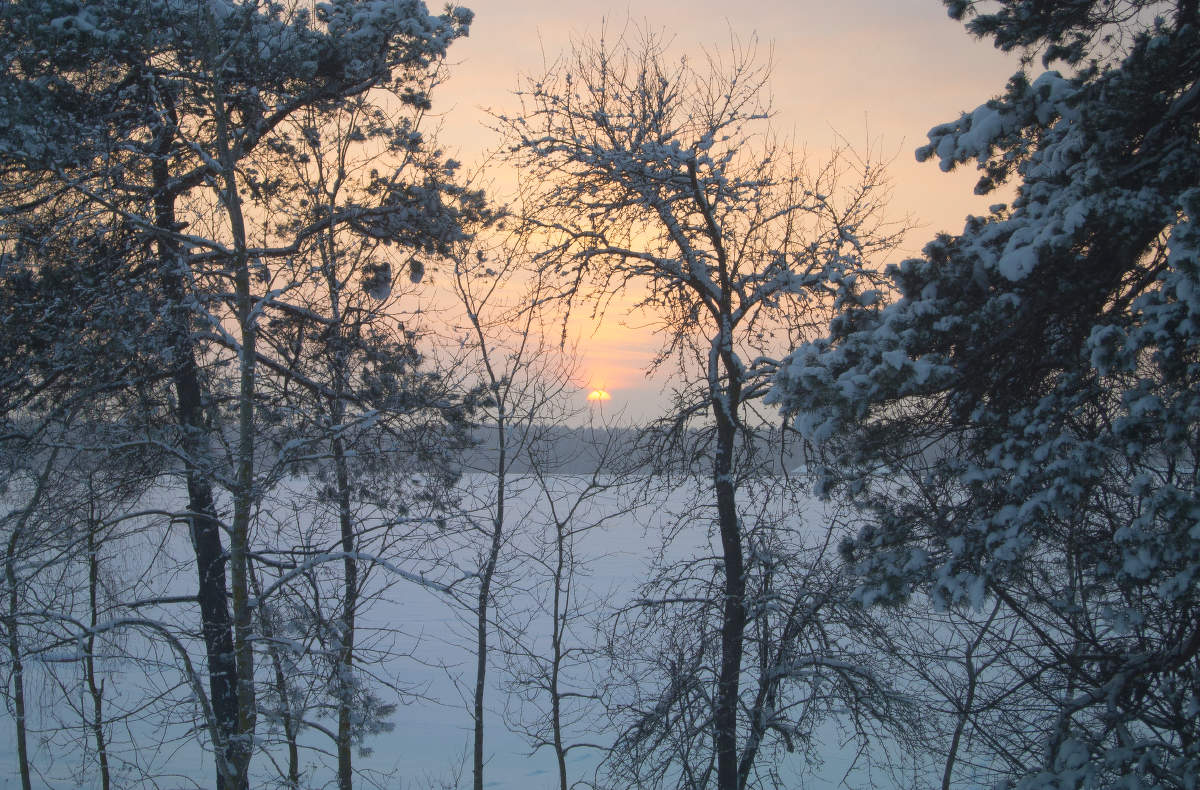 Вид из окна