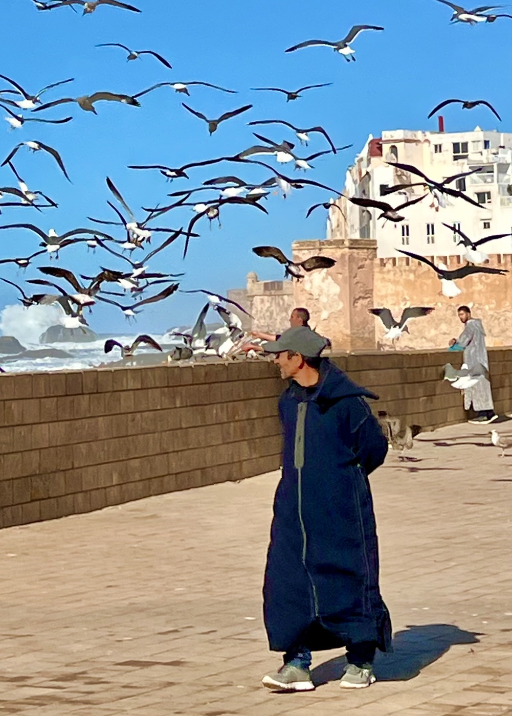 Essaouira, windy port Morocco