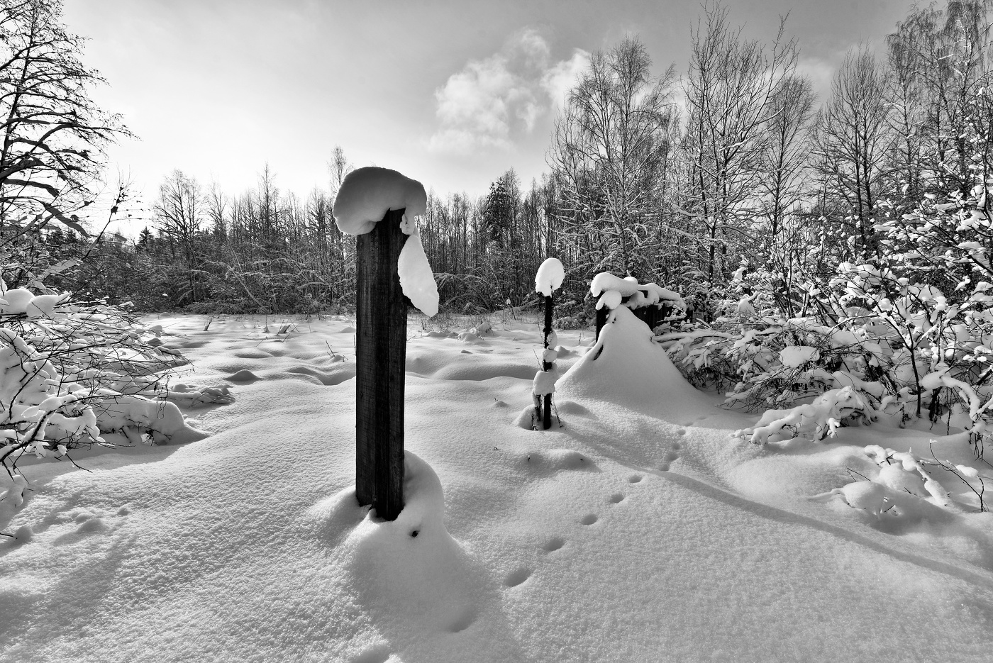 Следы за околицей ...