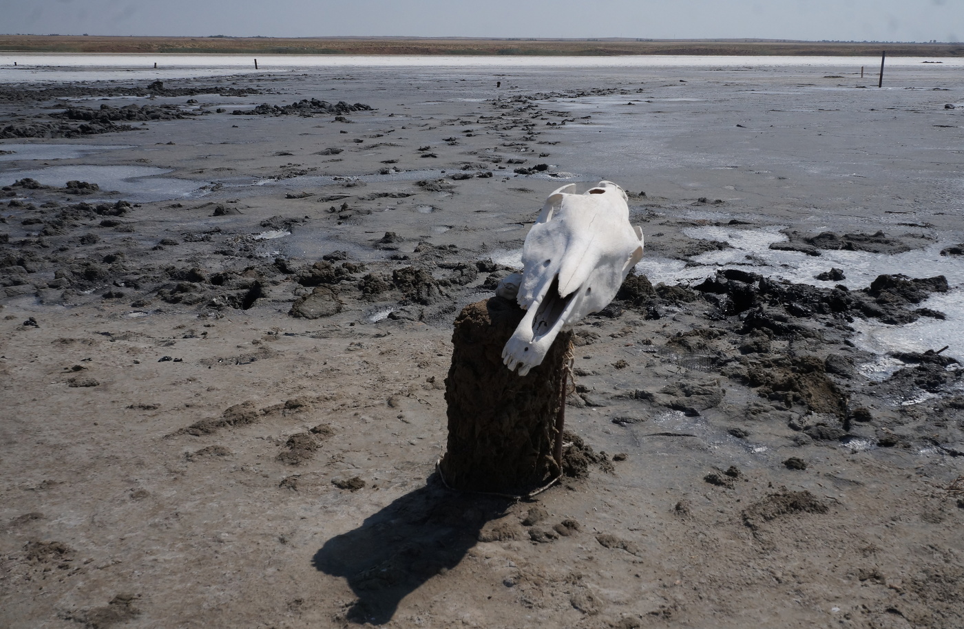 Безжизненность